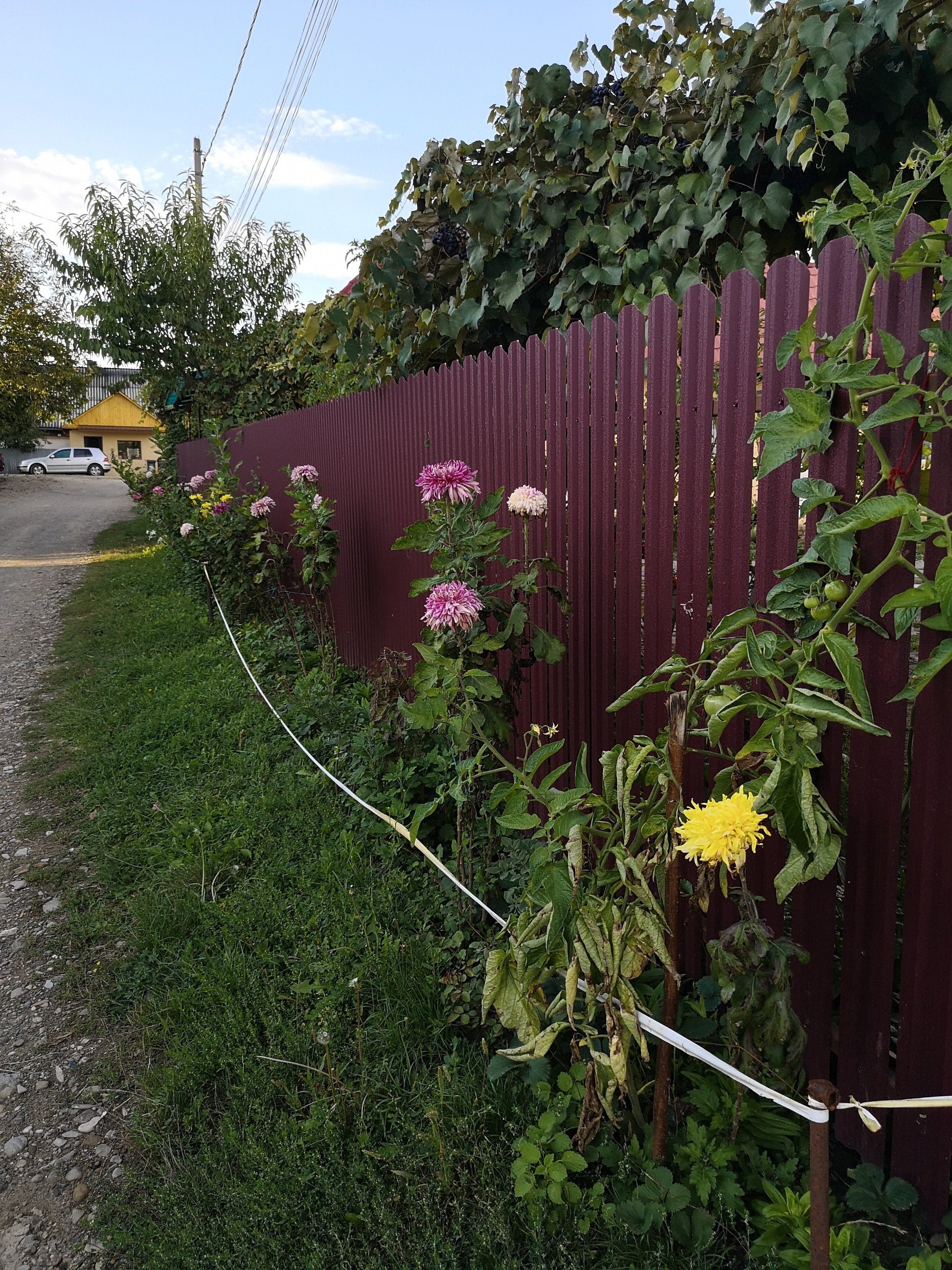 Prim-plan al modelului TISA Sipca Metalica cu finisaj de Hi-Mat în culoare Vișina, RAL 3005, disponibil pe www.sipca.ro, fabricat de Top Profil Sistem.