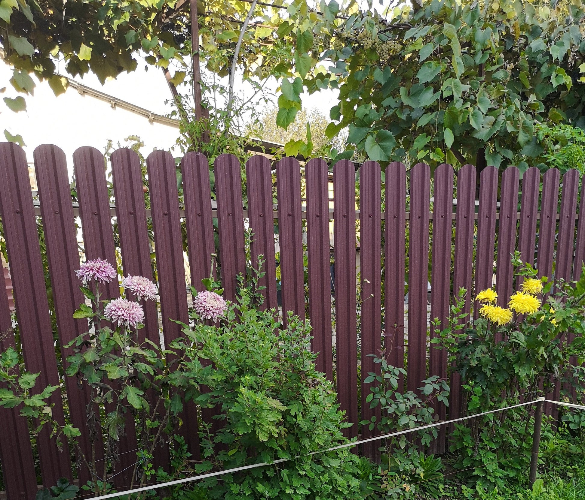 Prim-plan al modelului TISA Sipca Metalica cu finisaj de Hi-Mat în culoare Vișina, RAL 3005, disponibil pe www.sipca.ro, fabricat de Top Profil Sistem.