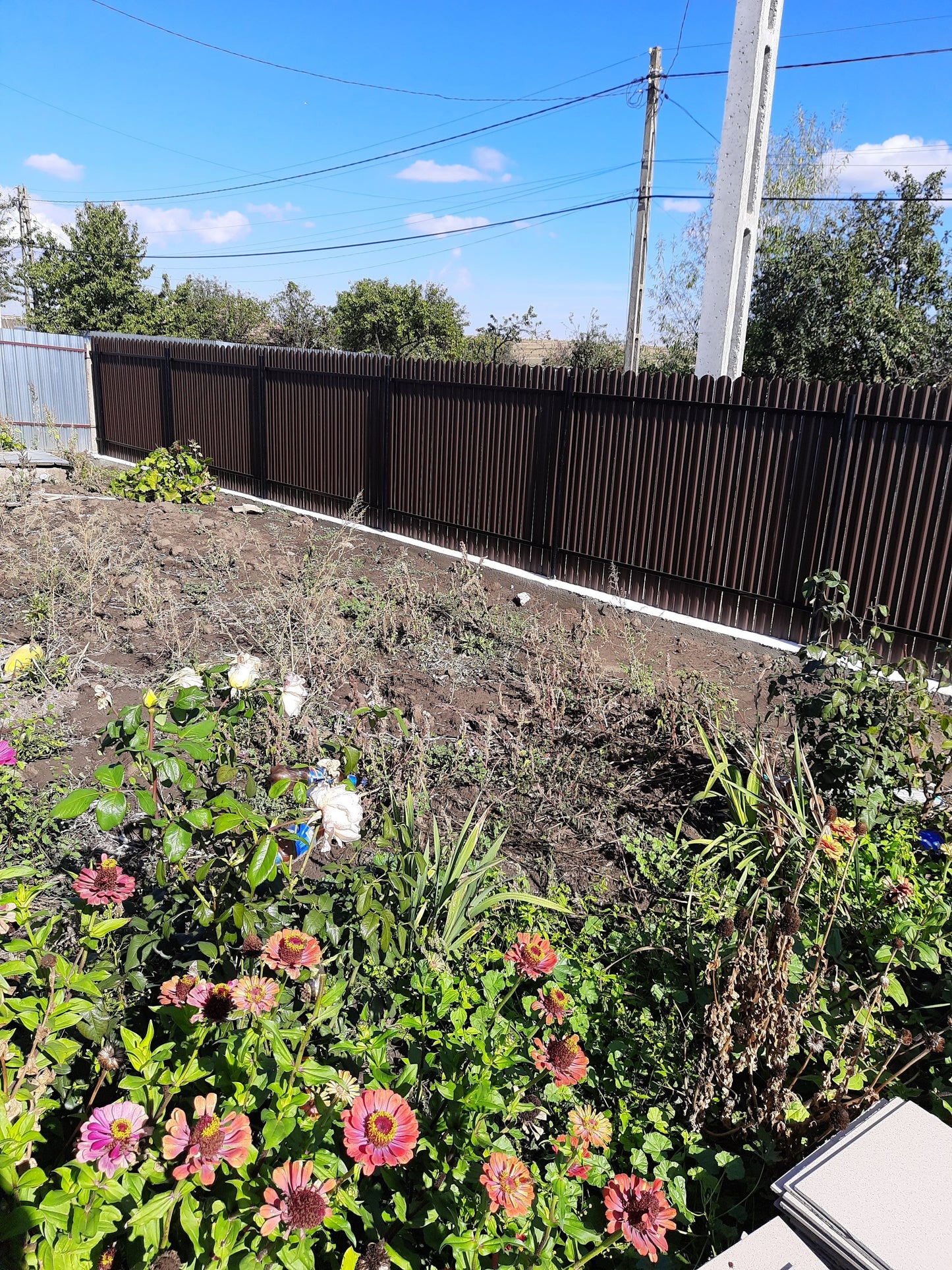 Prim-plan al modelului TISA Sipca Metalica cu finisaj de Hi-Mat în culoare Maro Cedru, RAL 8019, disponibil pe www.sipca.ro, fabricat de Top Profil Sistem.